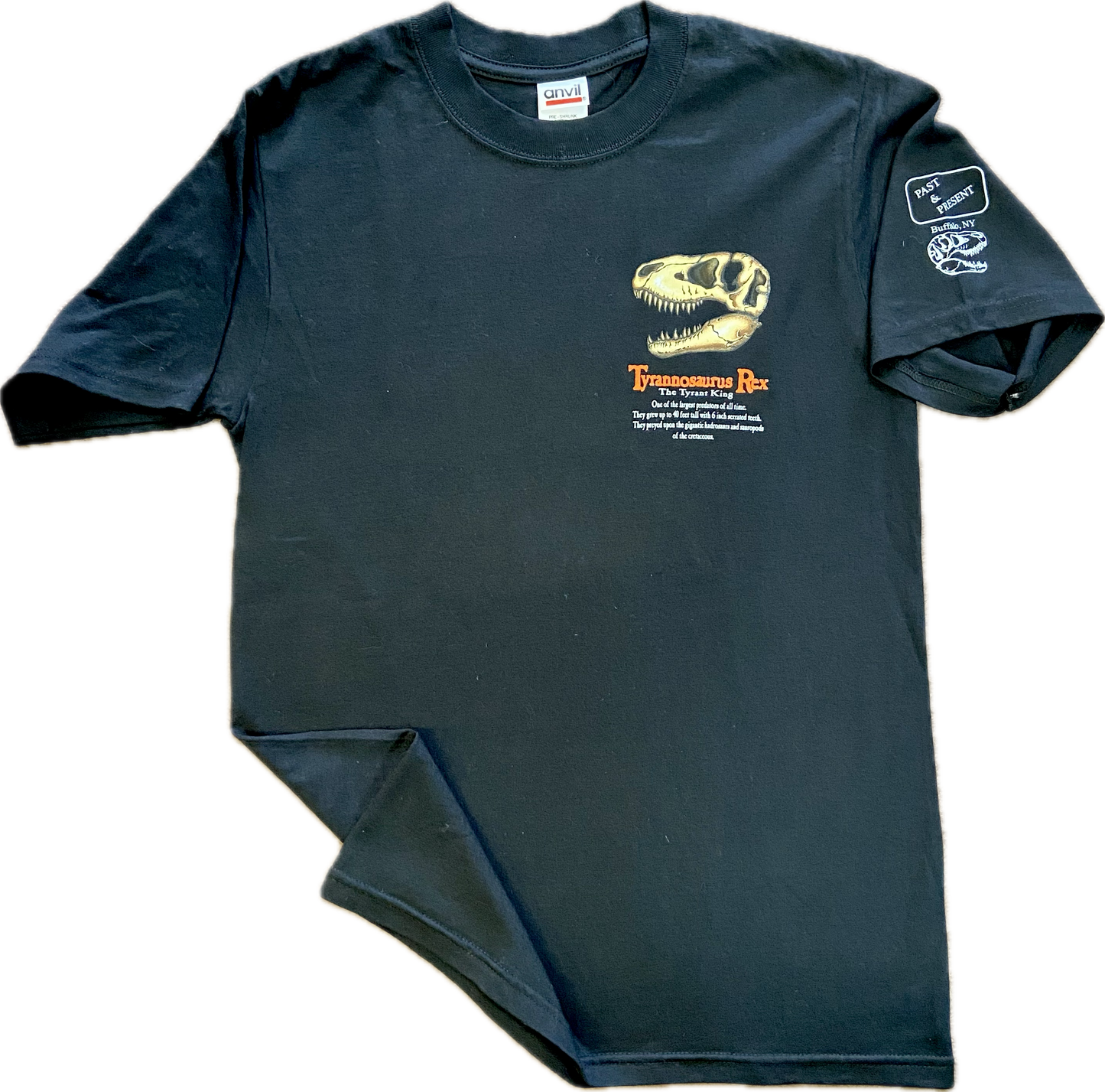 Pocket T.Rex T-shirt, Adult