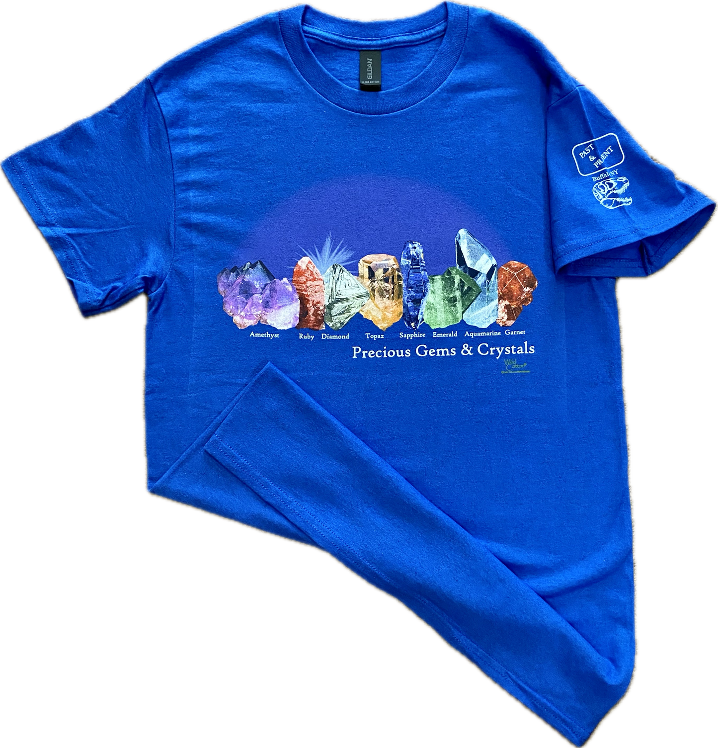 Precious Gems & Crystals T-Shirt, Adult
