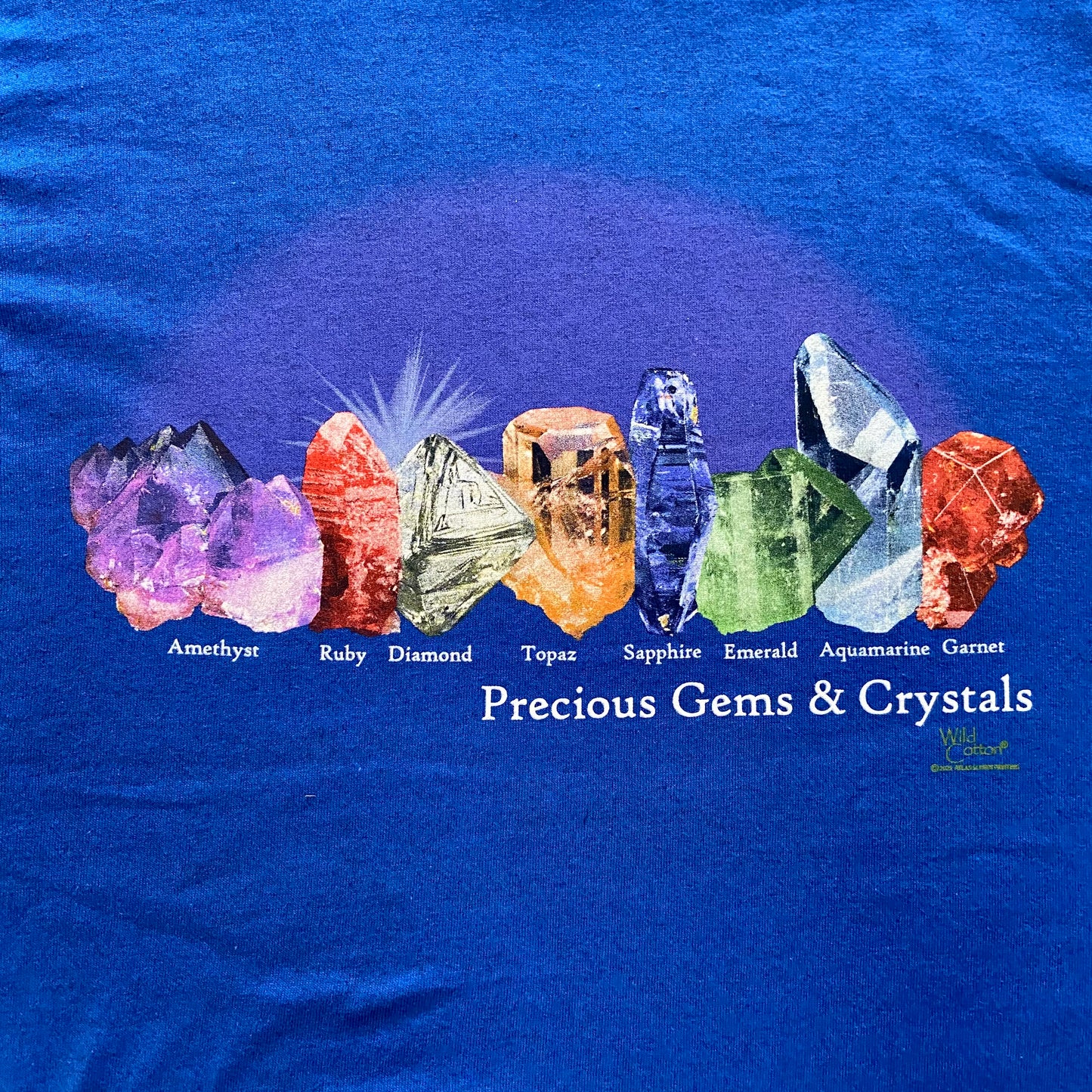 Precious Gems & Crystals T-Shirt, Adult