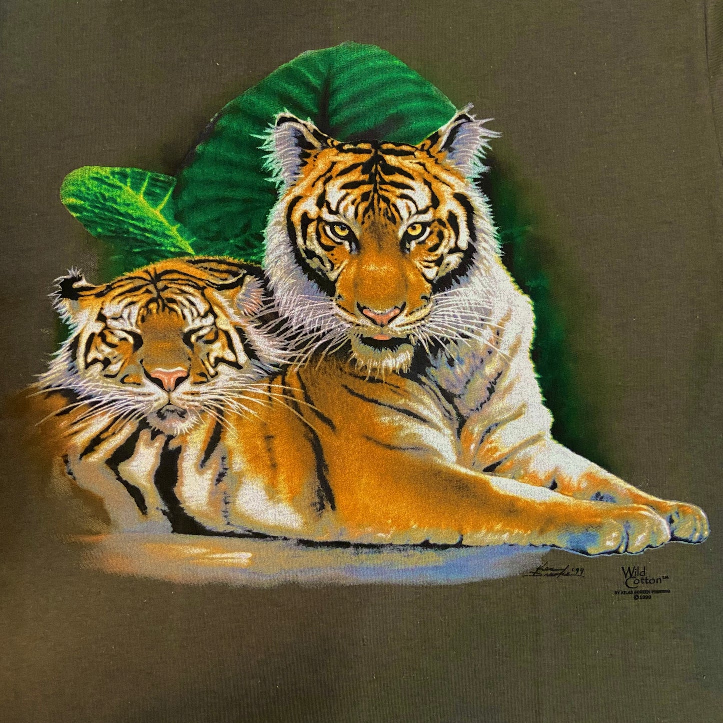 Tiger T-shirt, Adult