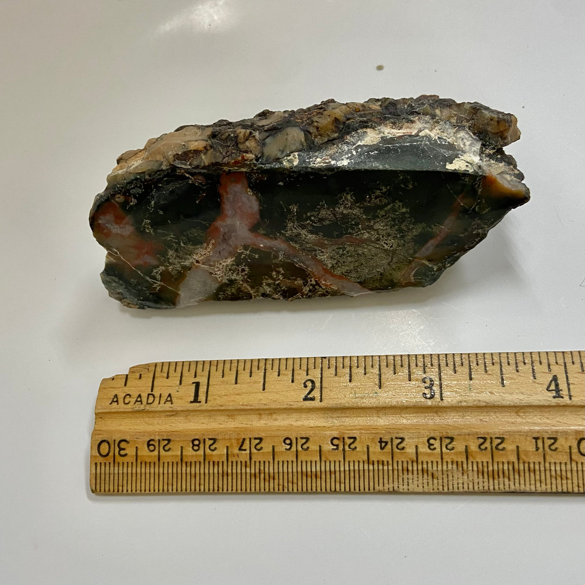 Dinosaur Coprolite