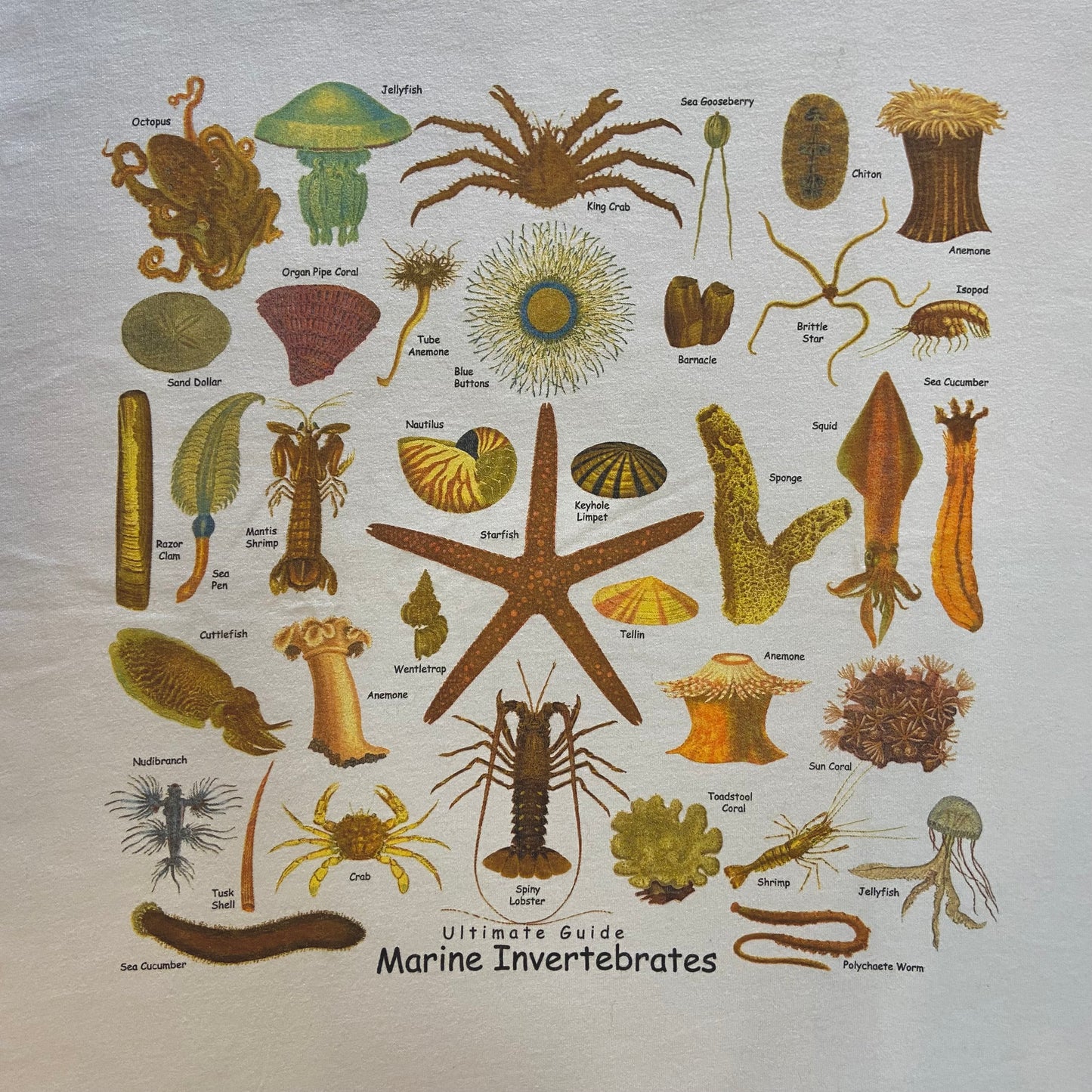 Ultimate Marine Invertebrates Guide T-shirt, Adult