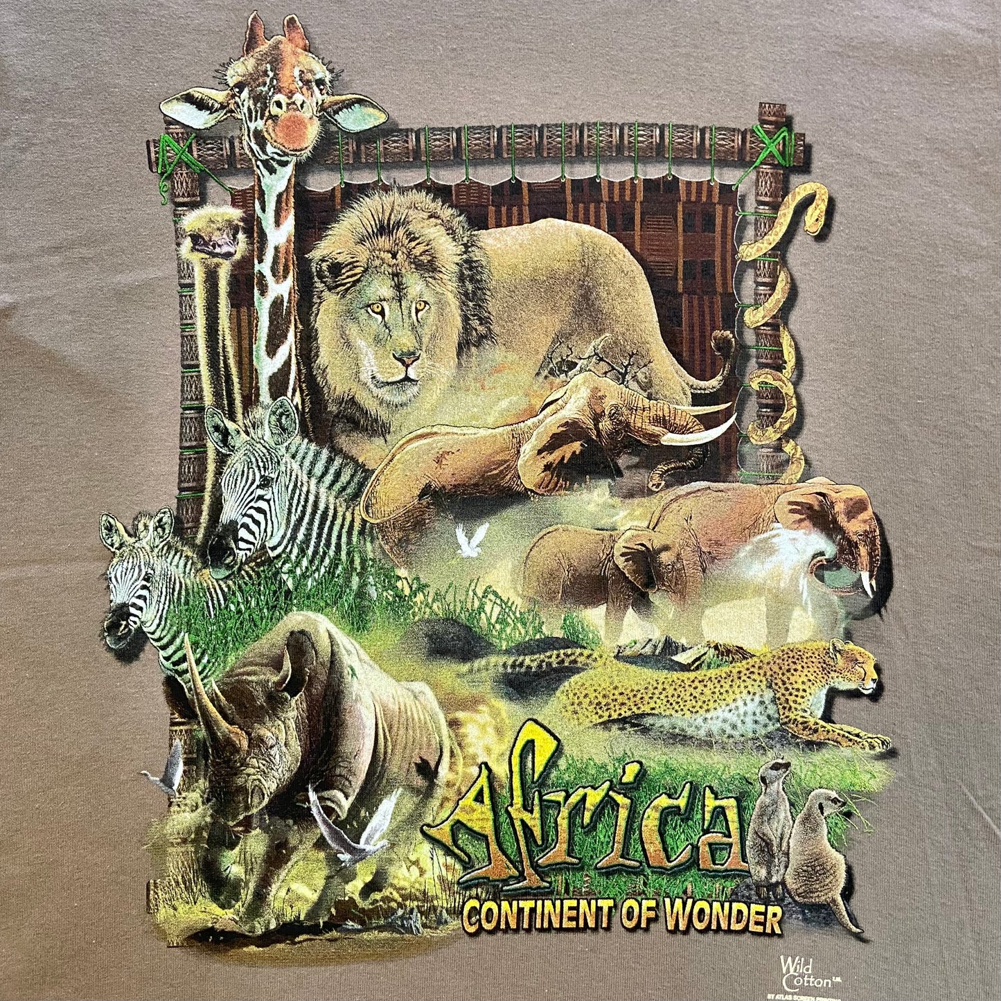 Africa T-Shirt, Adult