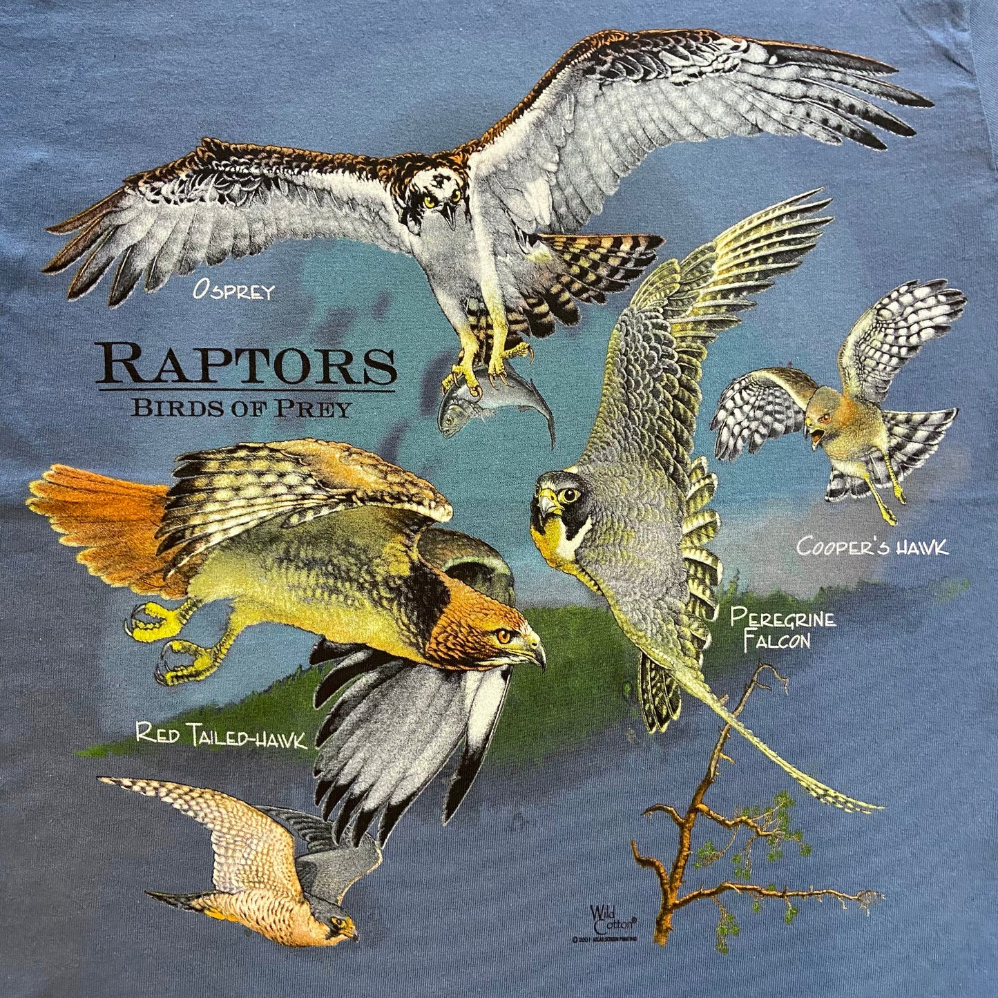 Raptors Birds of Prey T-Shirt, Adult