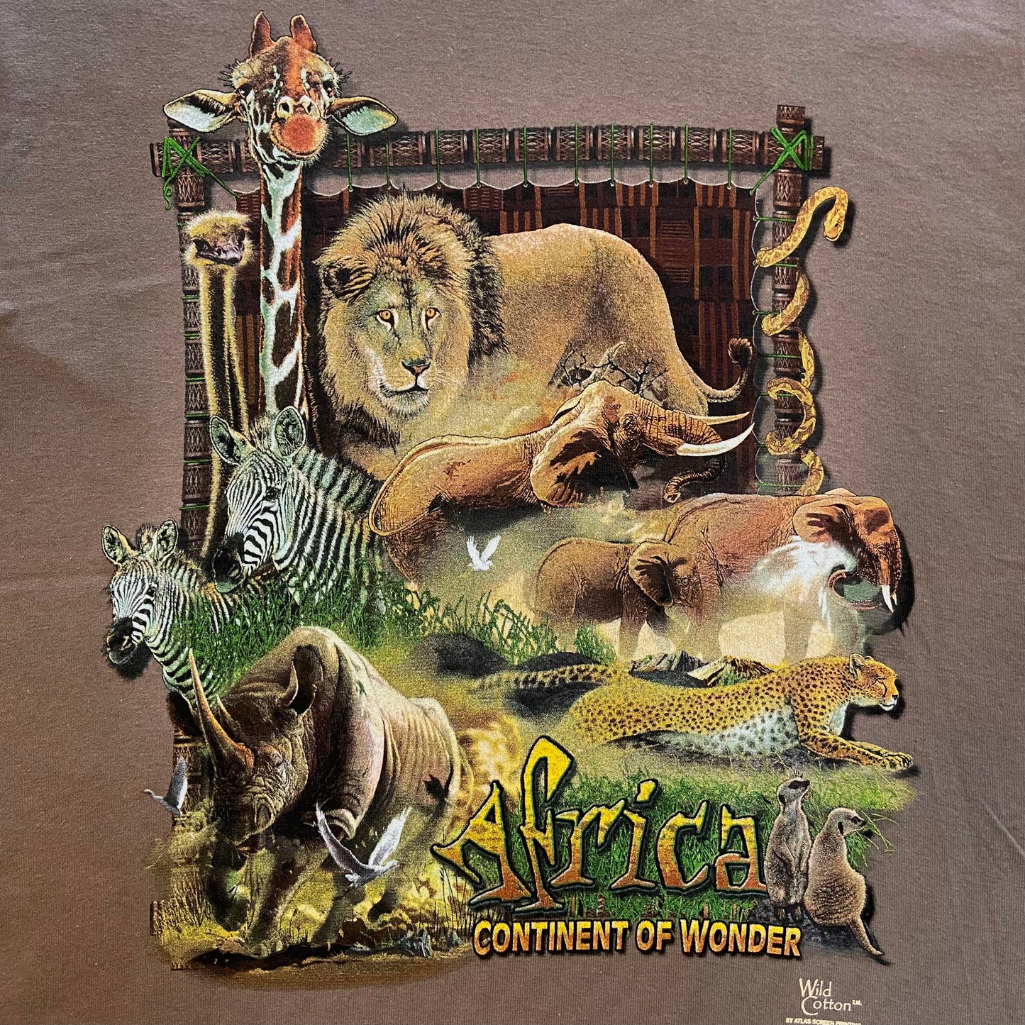 Africa T-Shirt, Adult