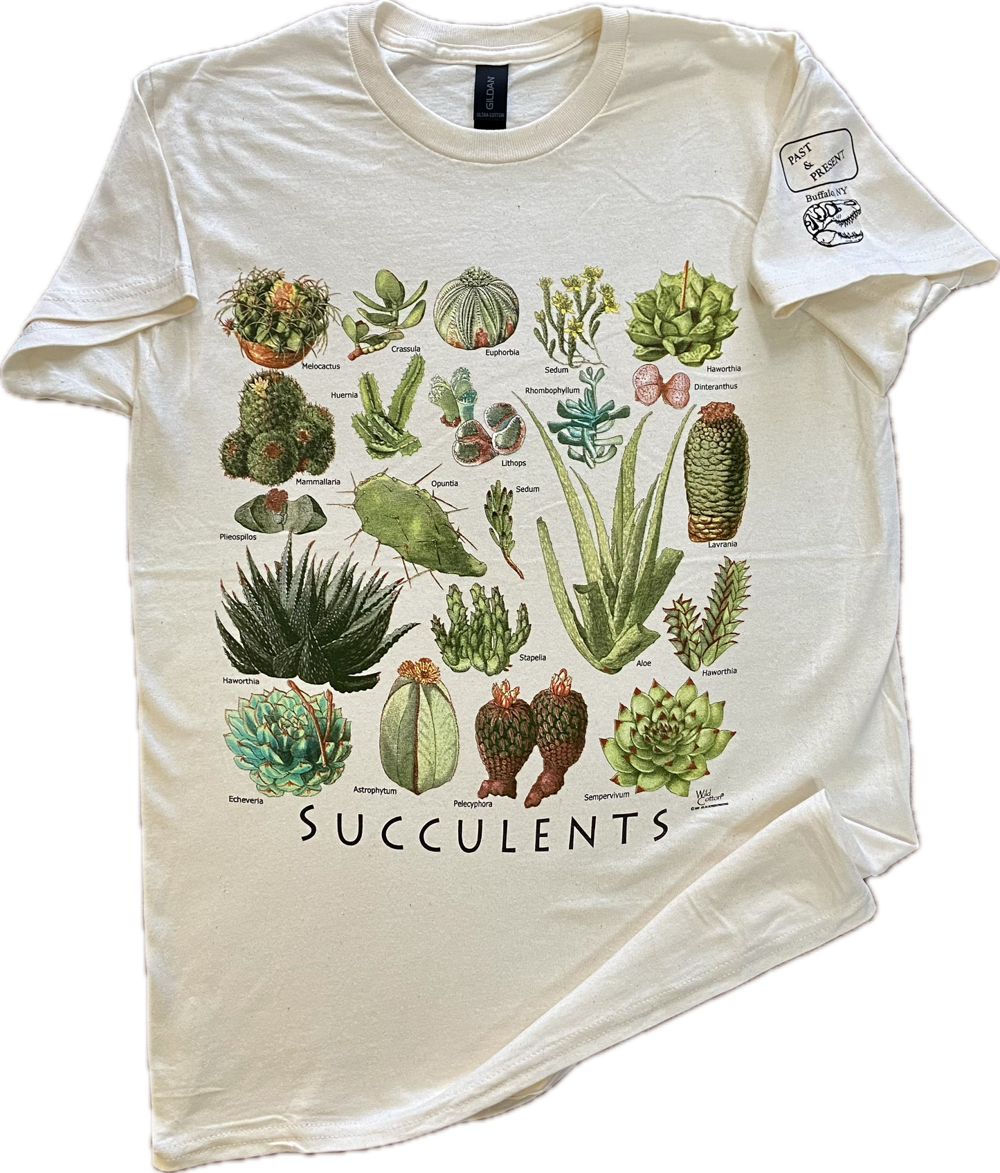 Succulents T-Shirt, Adult