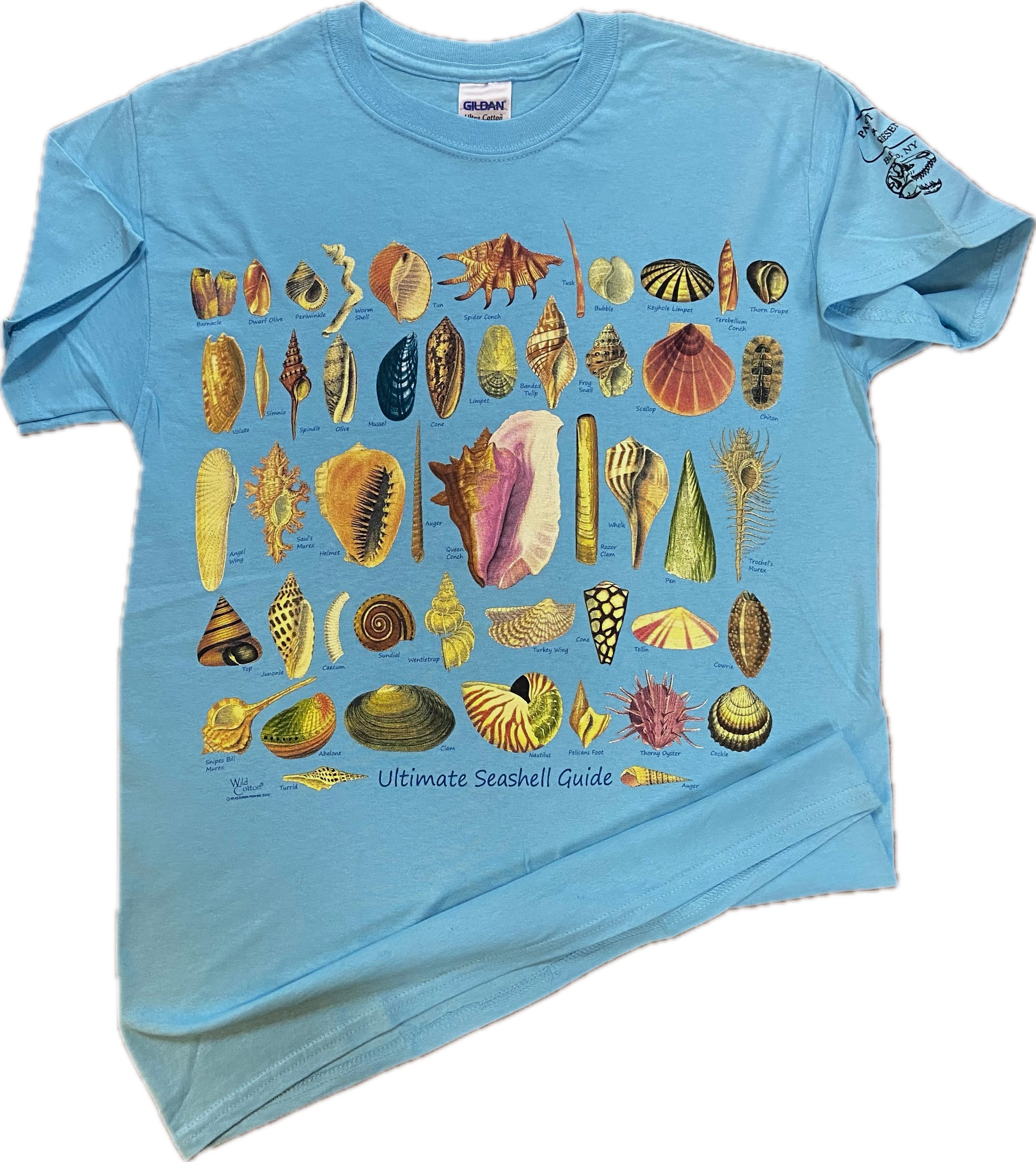 Ultimate Seashell Guide T-Shirt, Adult – Past & Present Science
