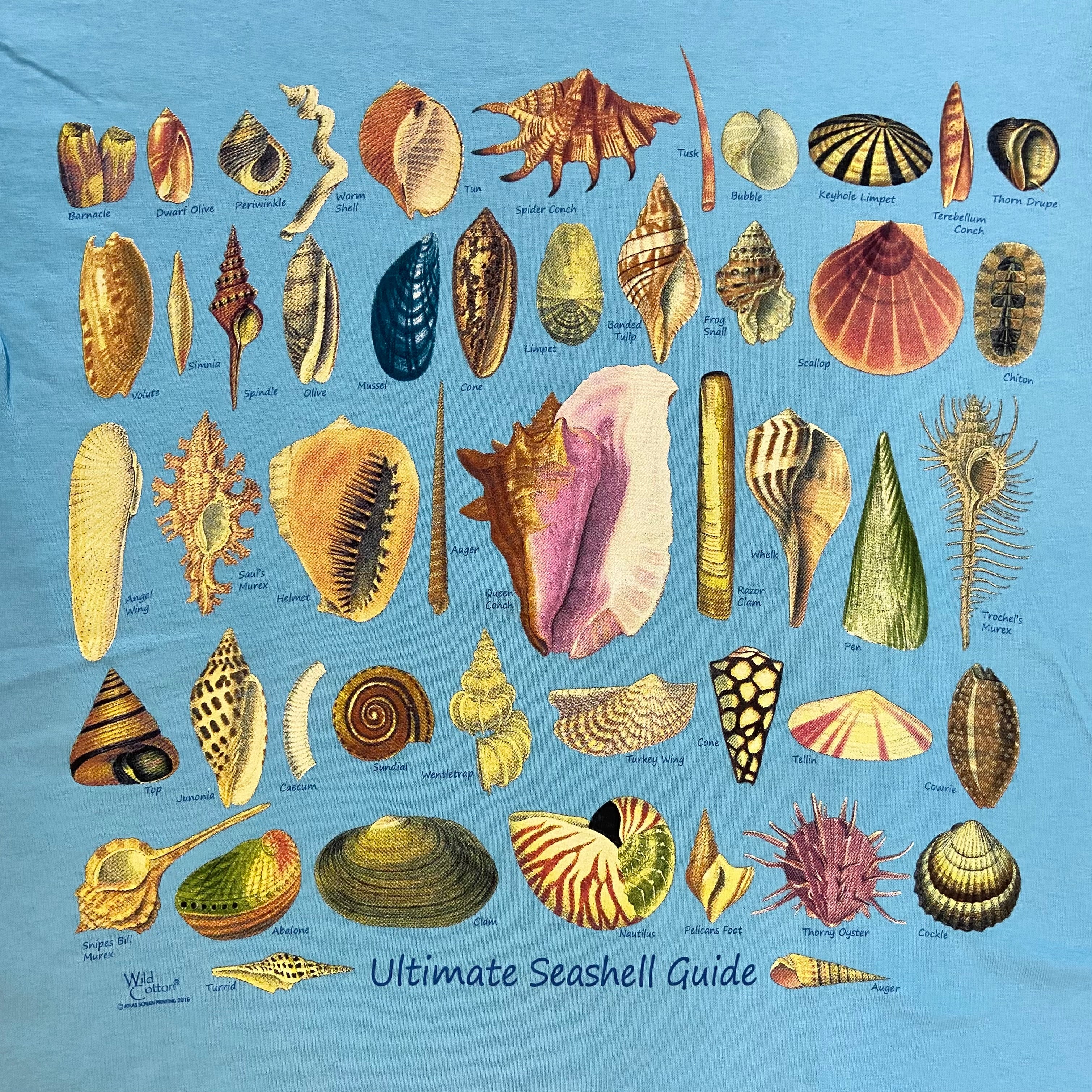 Ultimate Seashell Guide T-Shirt, Adult – Past & Present Science