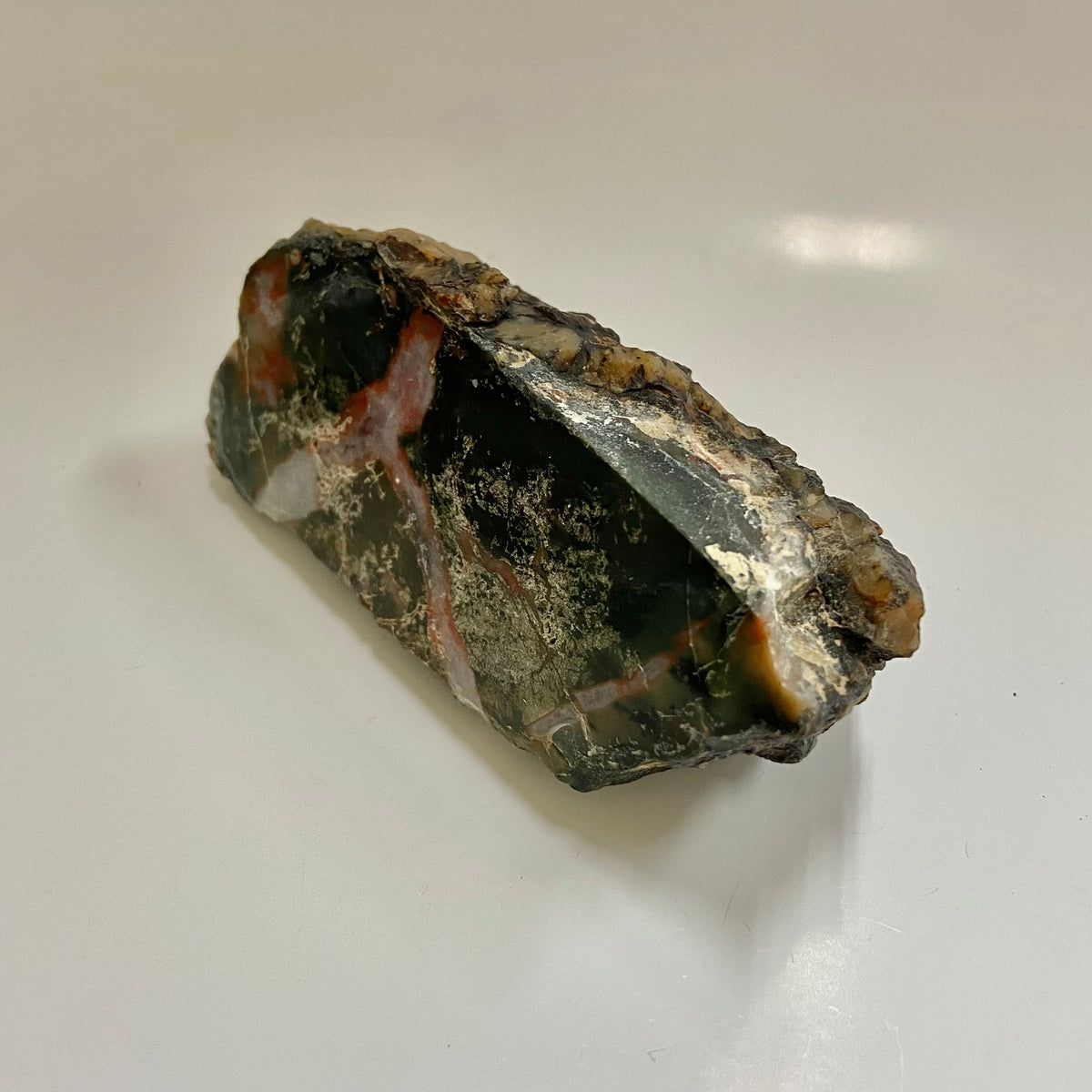 Dinosaur Coprolite