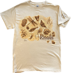 Fossils T-Shirt, Adult