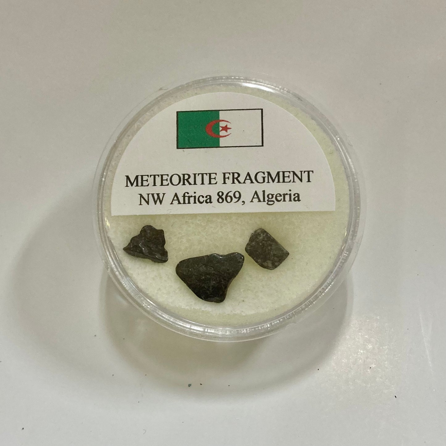 NW Africa 869 Meteorite Fragment, Algeria