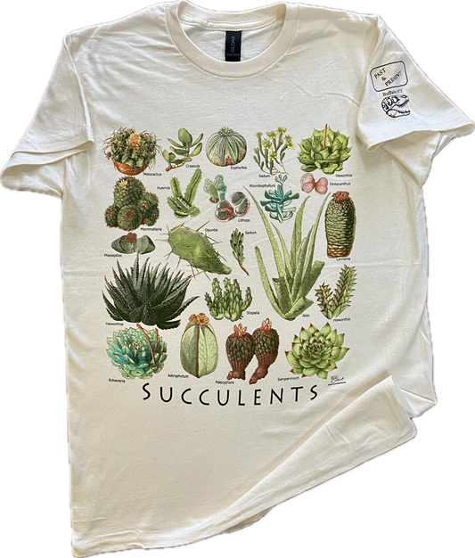 Succulents T-Shirt, Adult