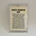 Mammoth Hair