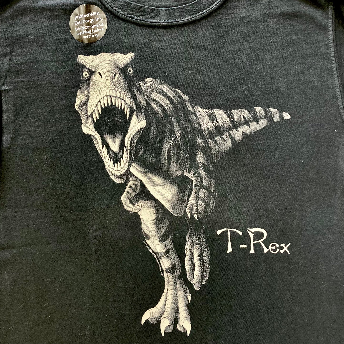 Discharge Ink T-rex T-Shirt, Adult