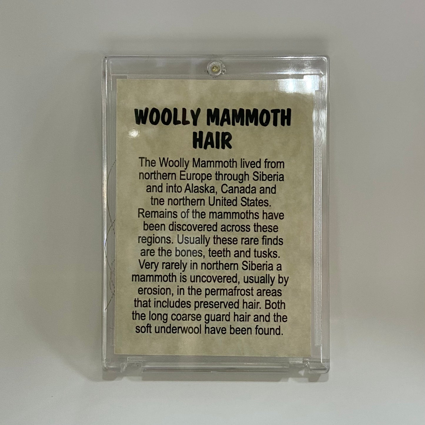 Mammoth Hair
