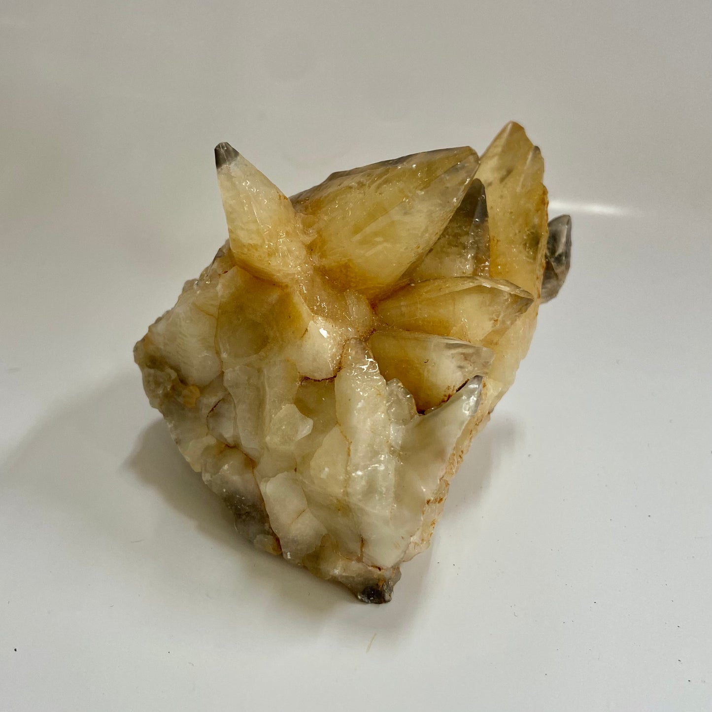 Dogtooth Calcite