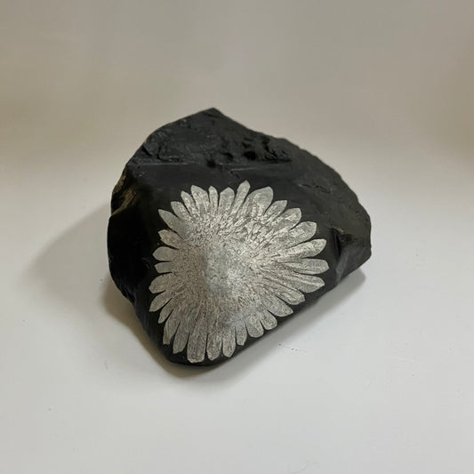 Chrysanthemum Stone