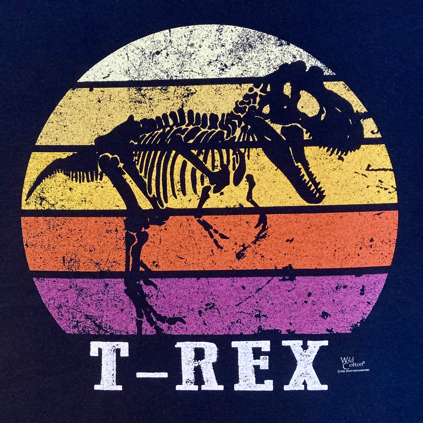 T.rex Sundown T-shirt, Adult