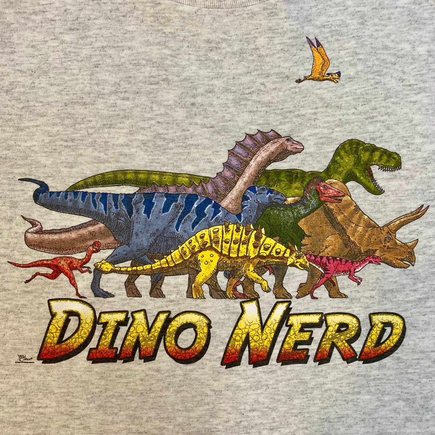 Dino Nerd T-Shirt, Youth