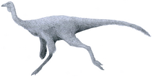 Ornithomimidae indet. Finger Bone