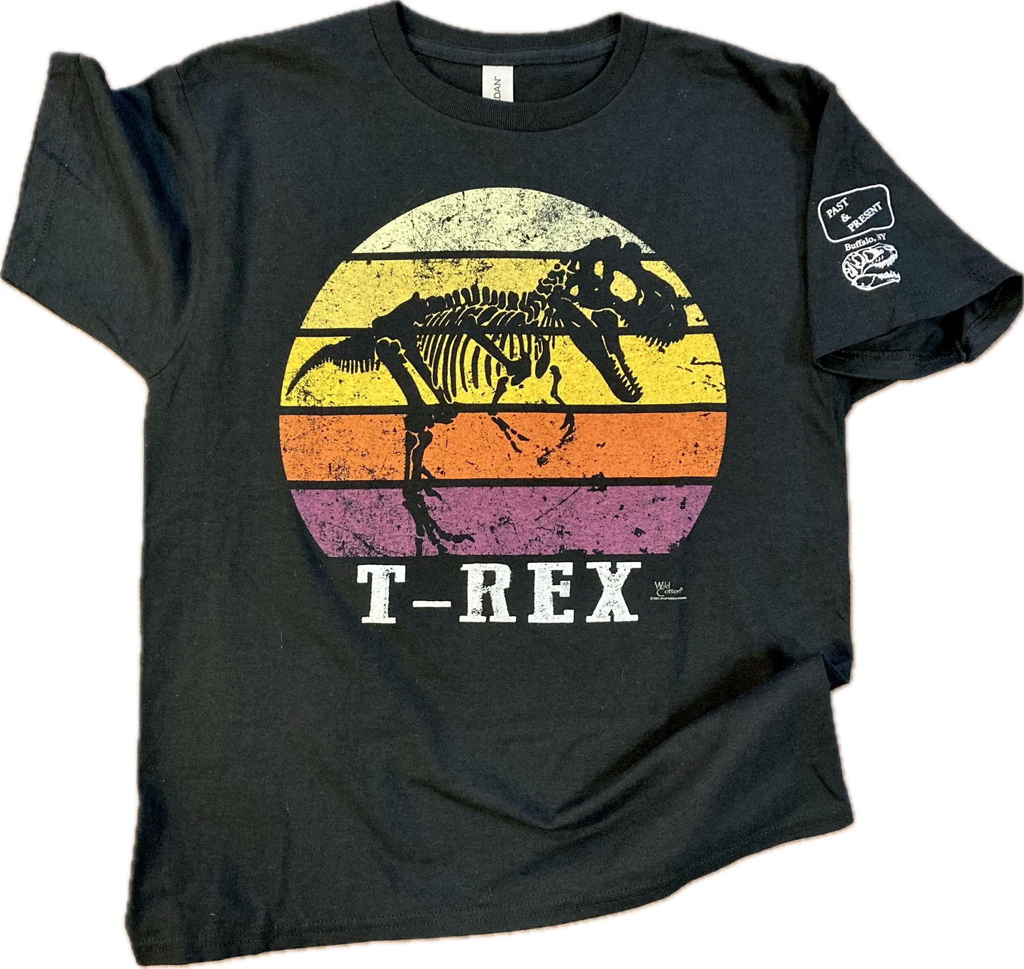 T.rex Sundown T-Shirt, Youth