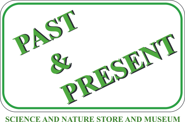 Past & Present Science and Nature Store