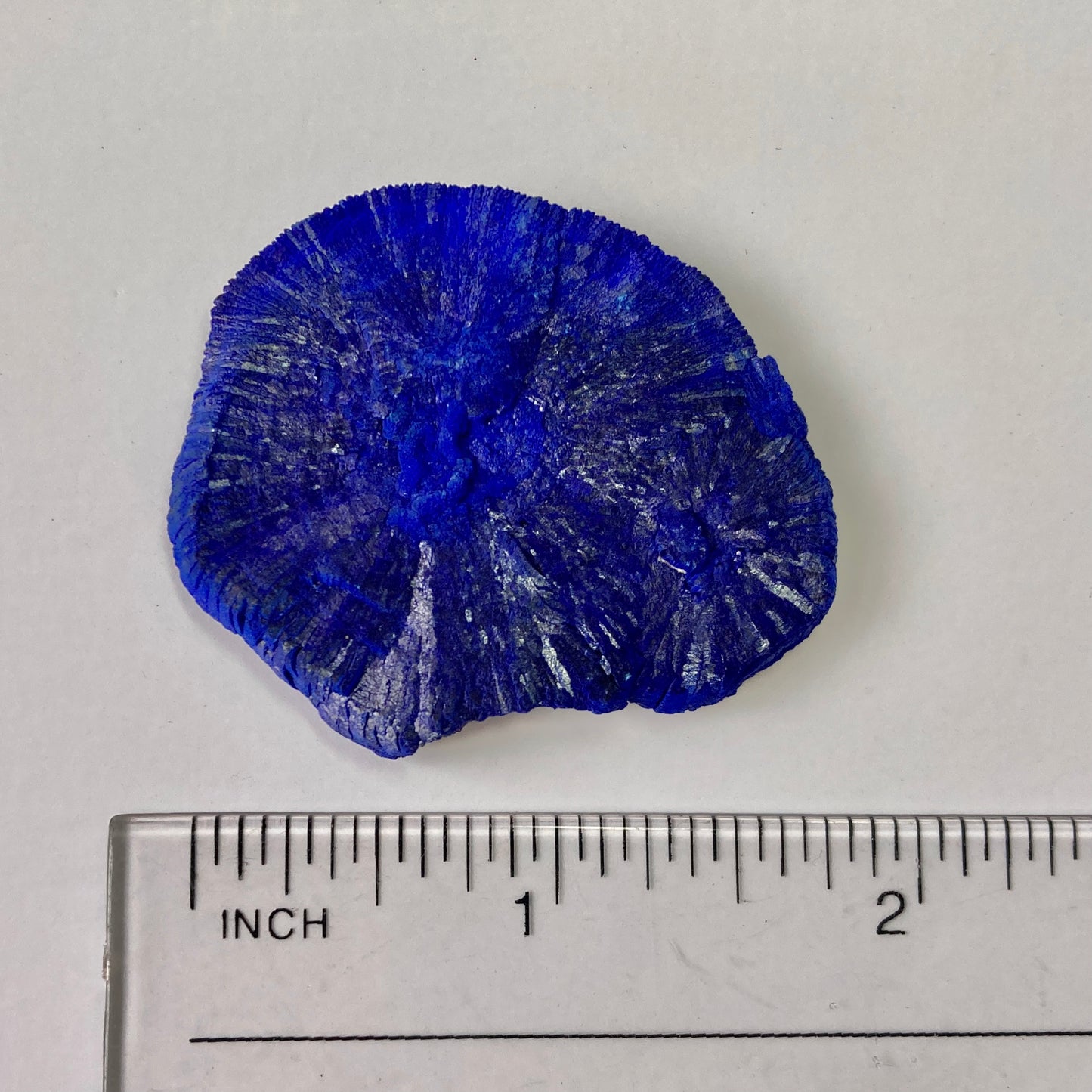 Azurite Sun in Kaolinitic Siltstone/Sandstone