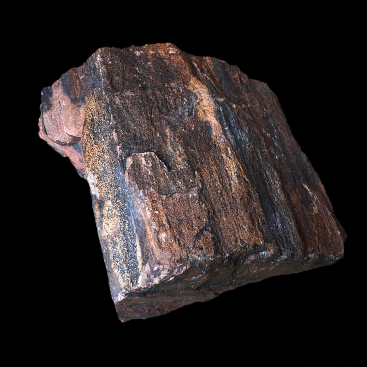 Petrified Wood - Arizona