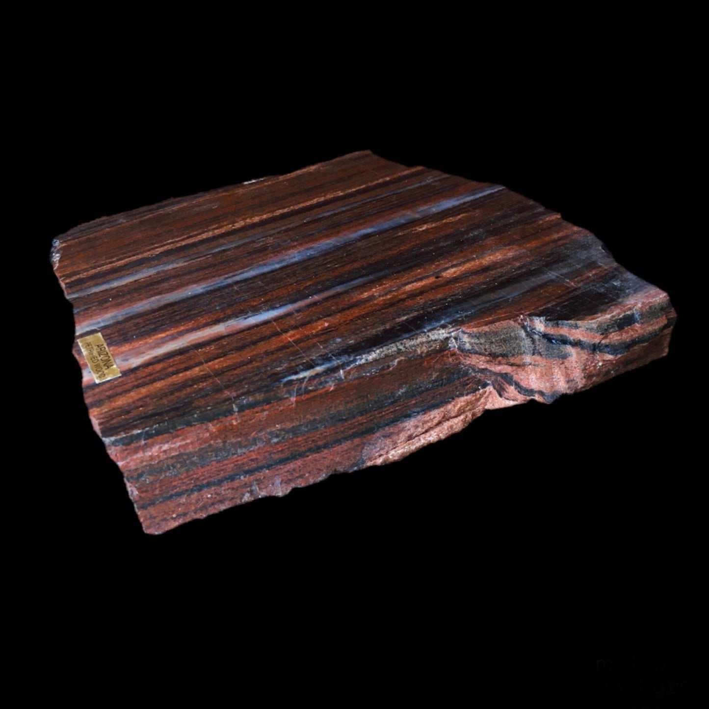 Petrified Wood - Arizona