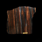 Petrified Wood - Arizona
