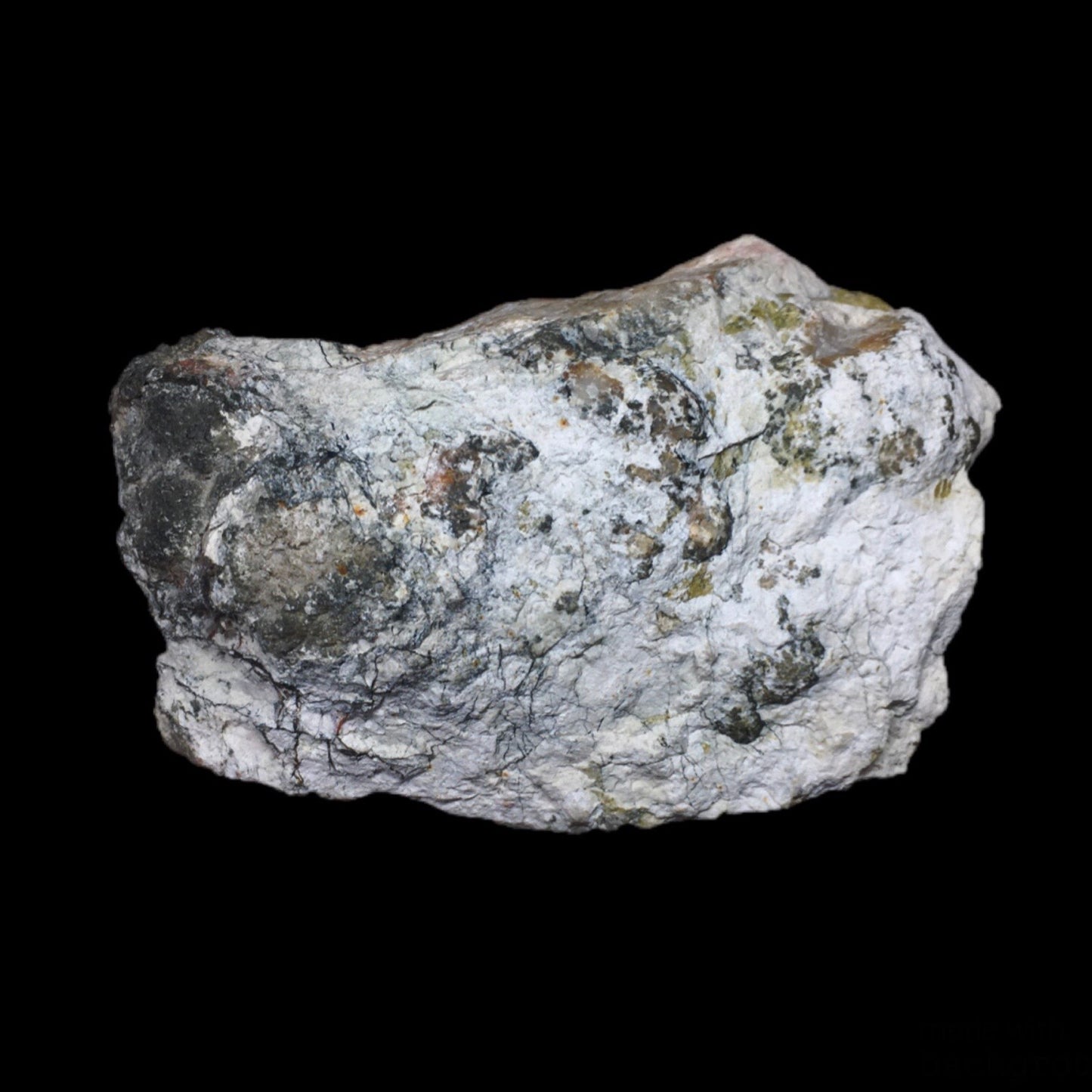 Dinosaur Coprolite