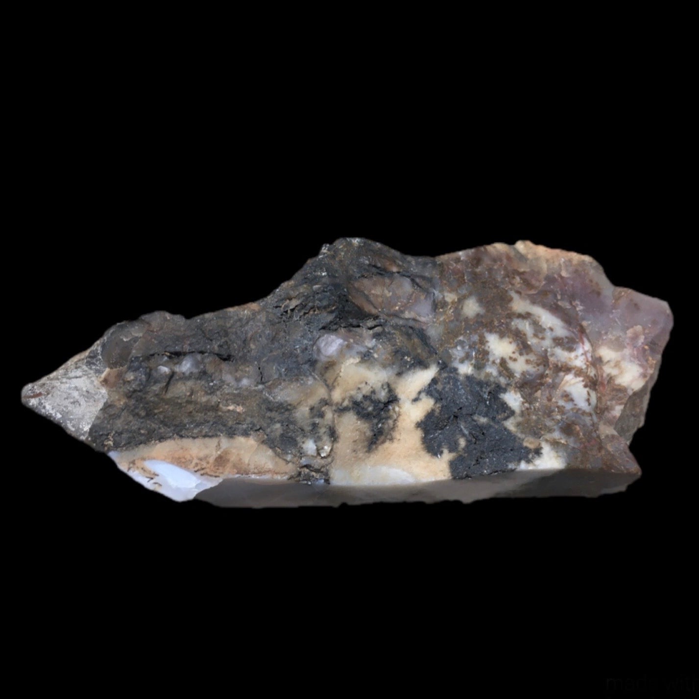 Dinosaur Coprolite