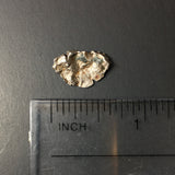 Campo del Cielo Meteorite Fragment, Argentina