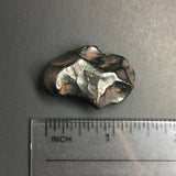 Iron Meteorite Sikhote-Alin