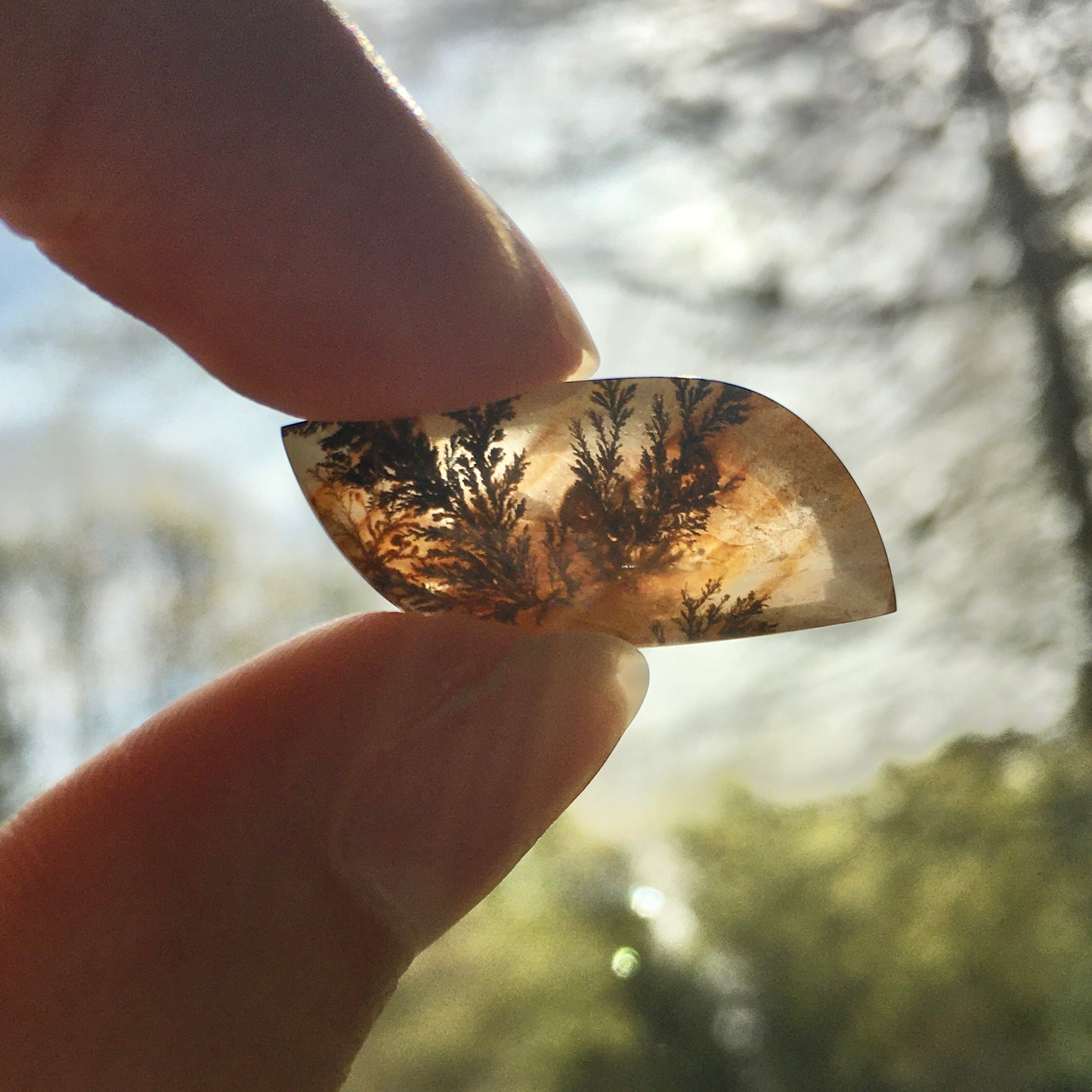 Dendritic Quartz