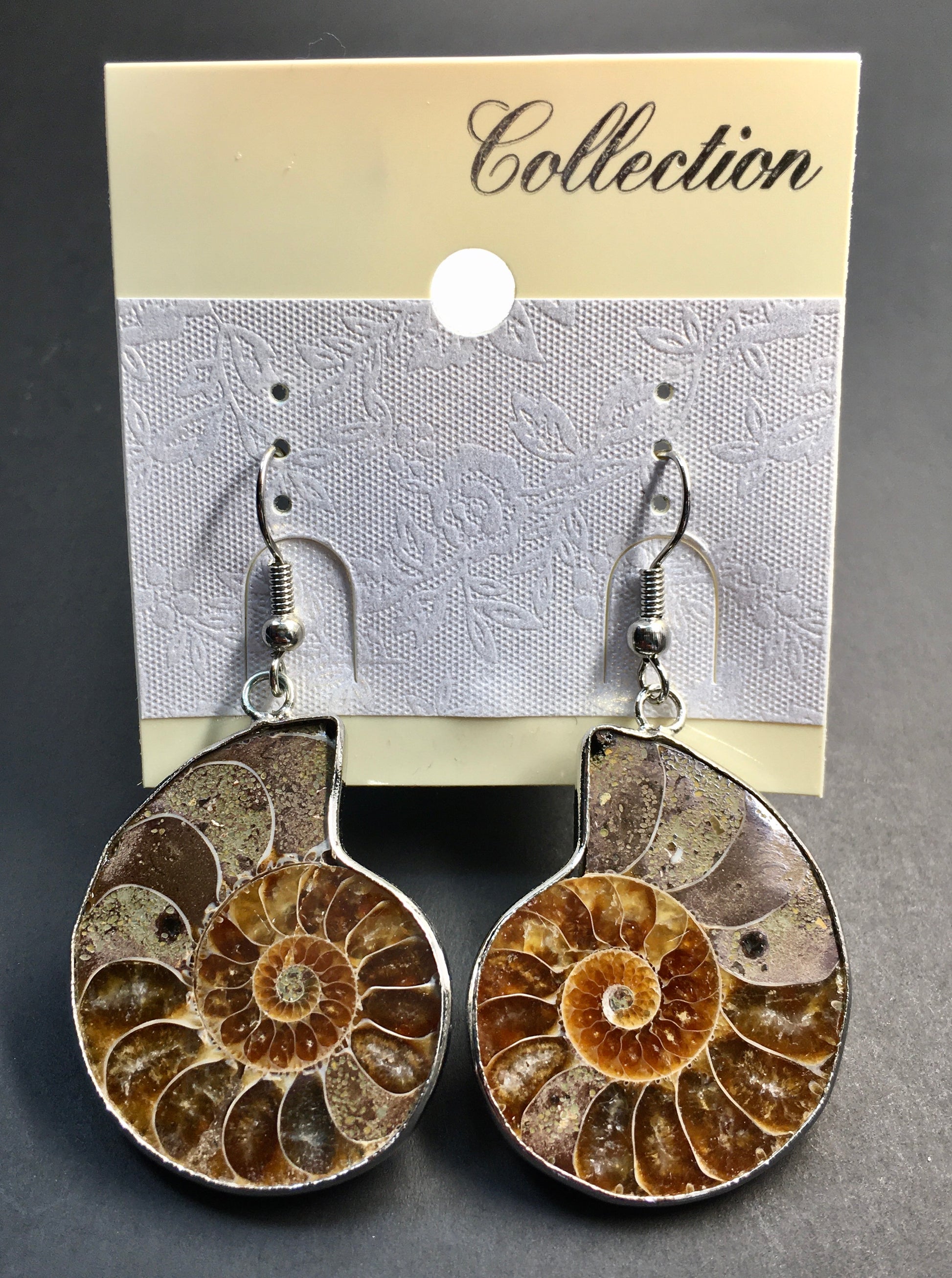 Silver-Plated Ammonite Earrings – Past Present Science and