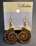 Gold-Plated Ammonite Earrings