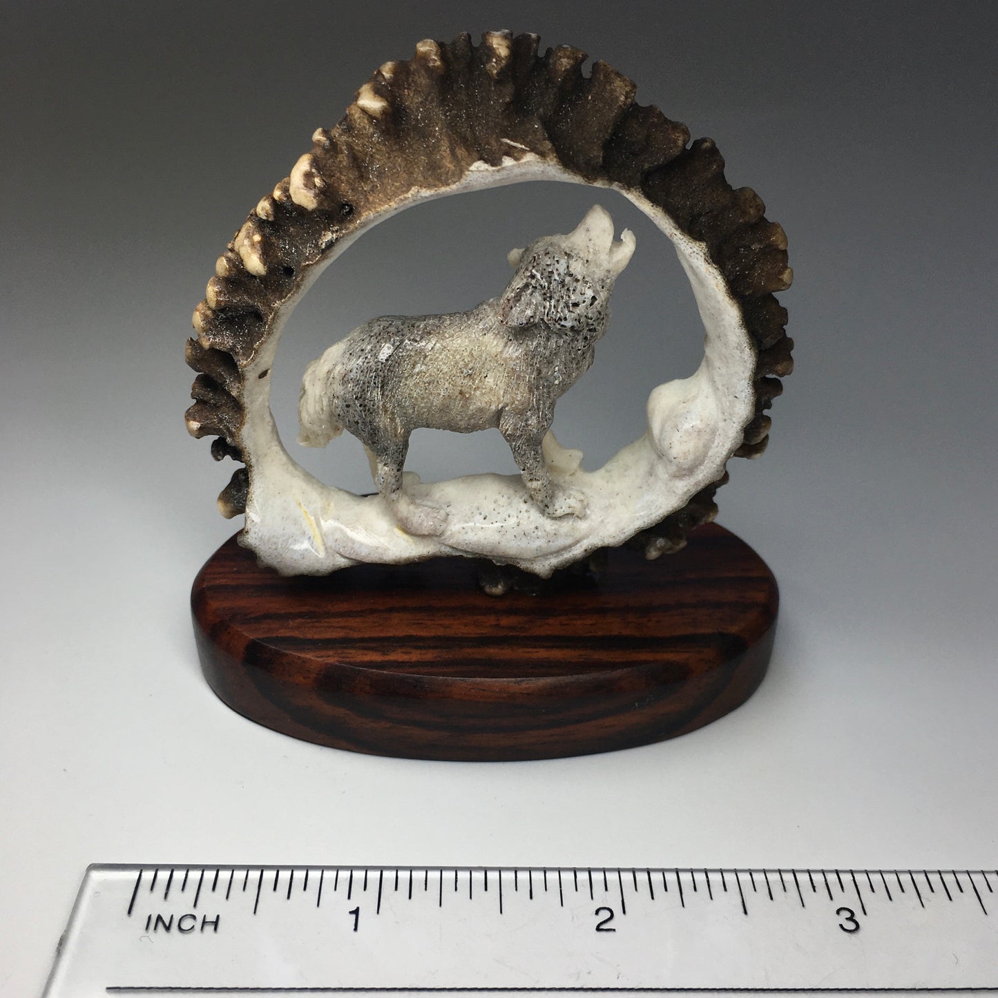 Moose Antler Wolf Carving