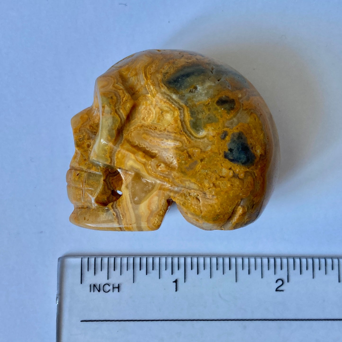 Yellow Mustard Jasper Skull