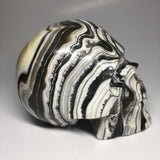 Zebra Onyx Aragonite Skull