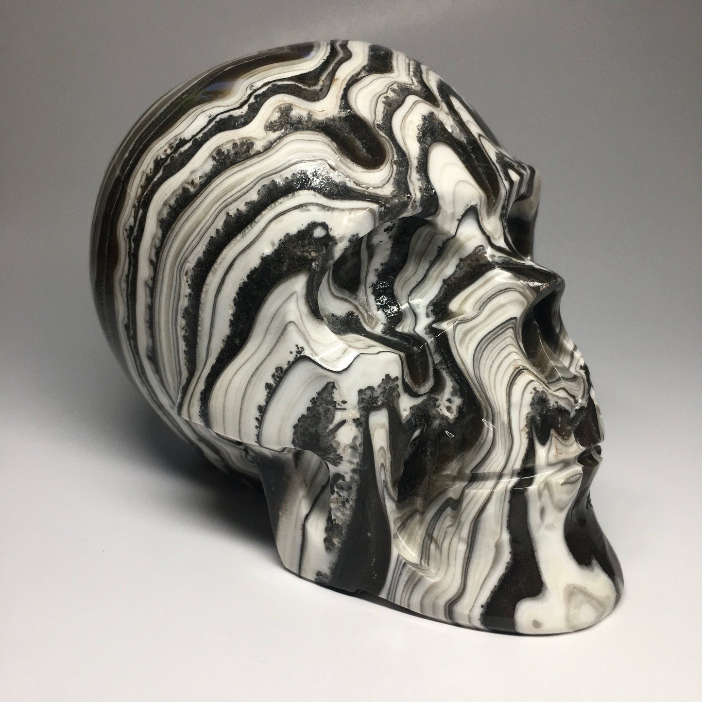 Zebra Onyx Aragonite Skull