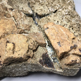 Upper Tibia Dinosaur Bone with Chalcedony
