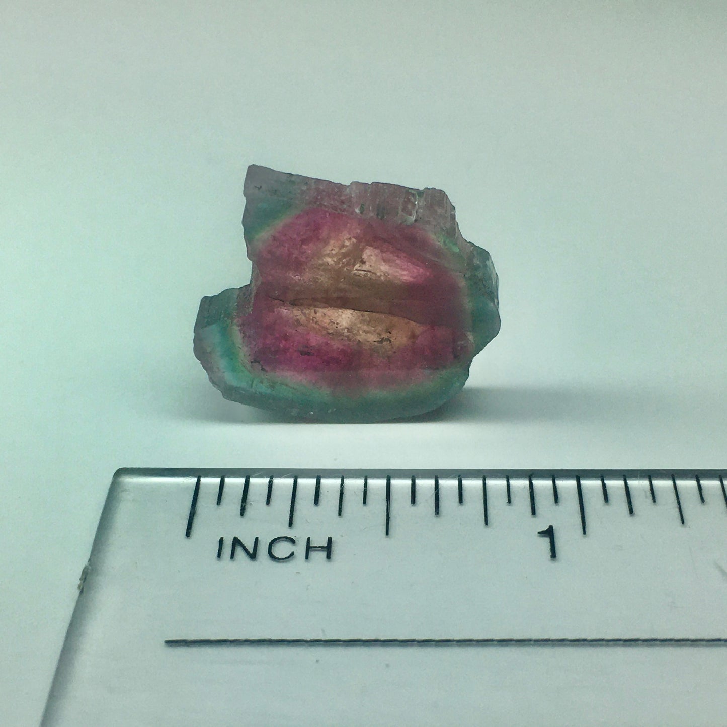 Watermelon Tourmaline