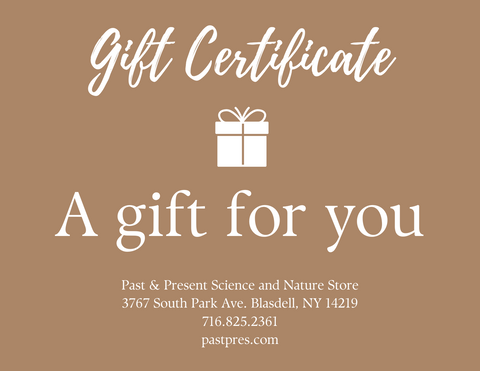 Gift Certificate (Redeemable In-Store ONLY)