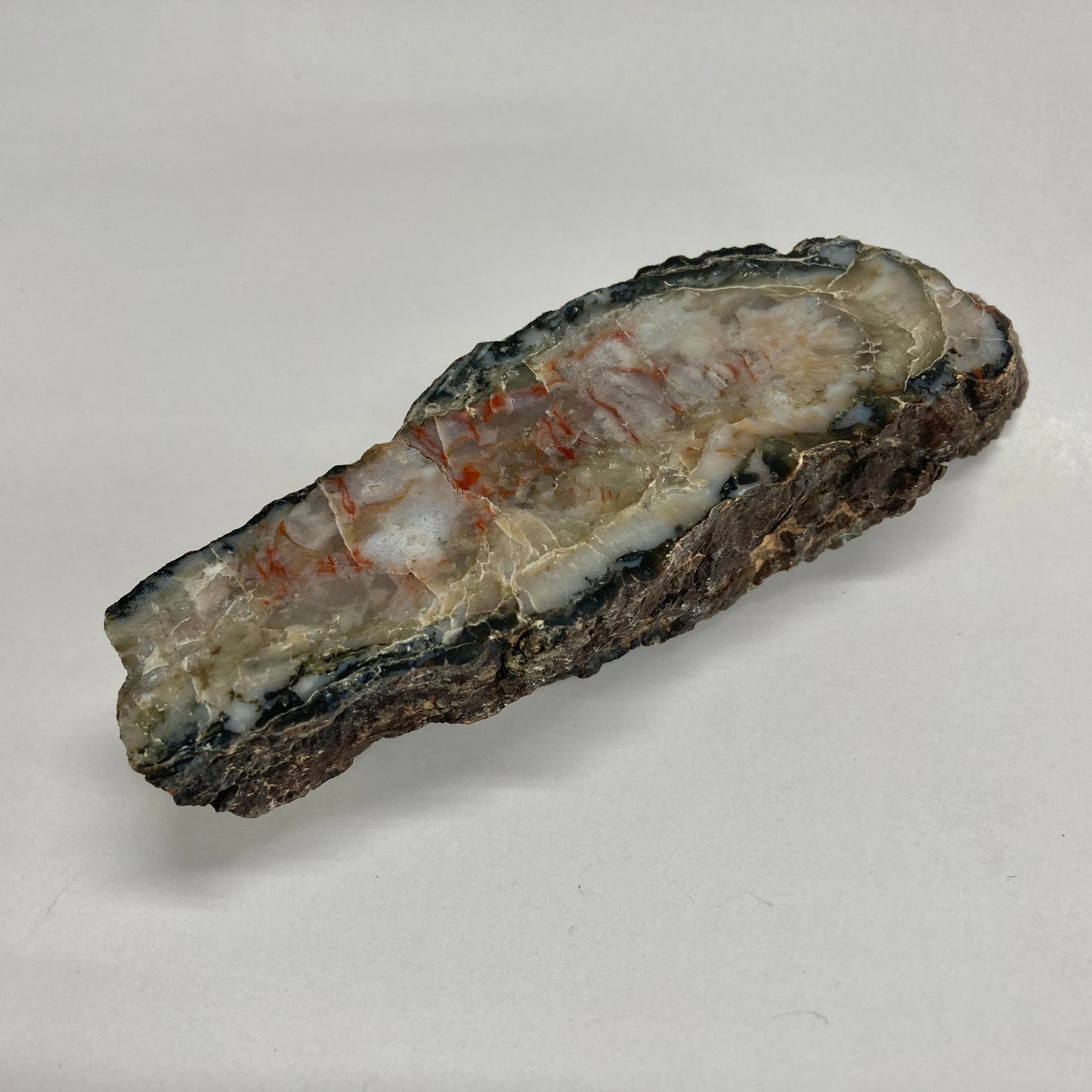 Dinosaur Coprolite