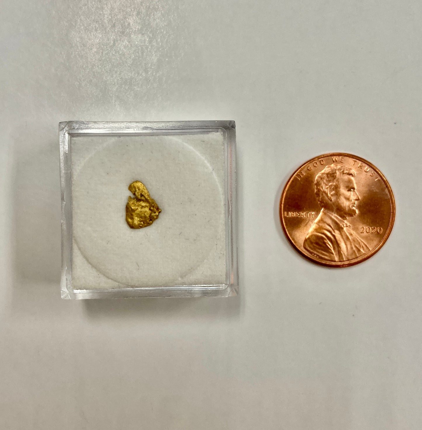 Alaska-Yukon Gold Nugget