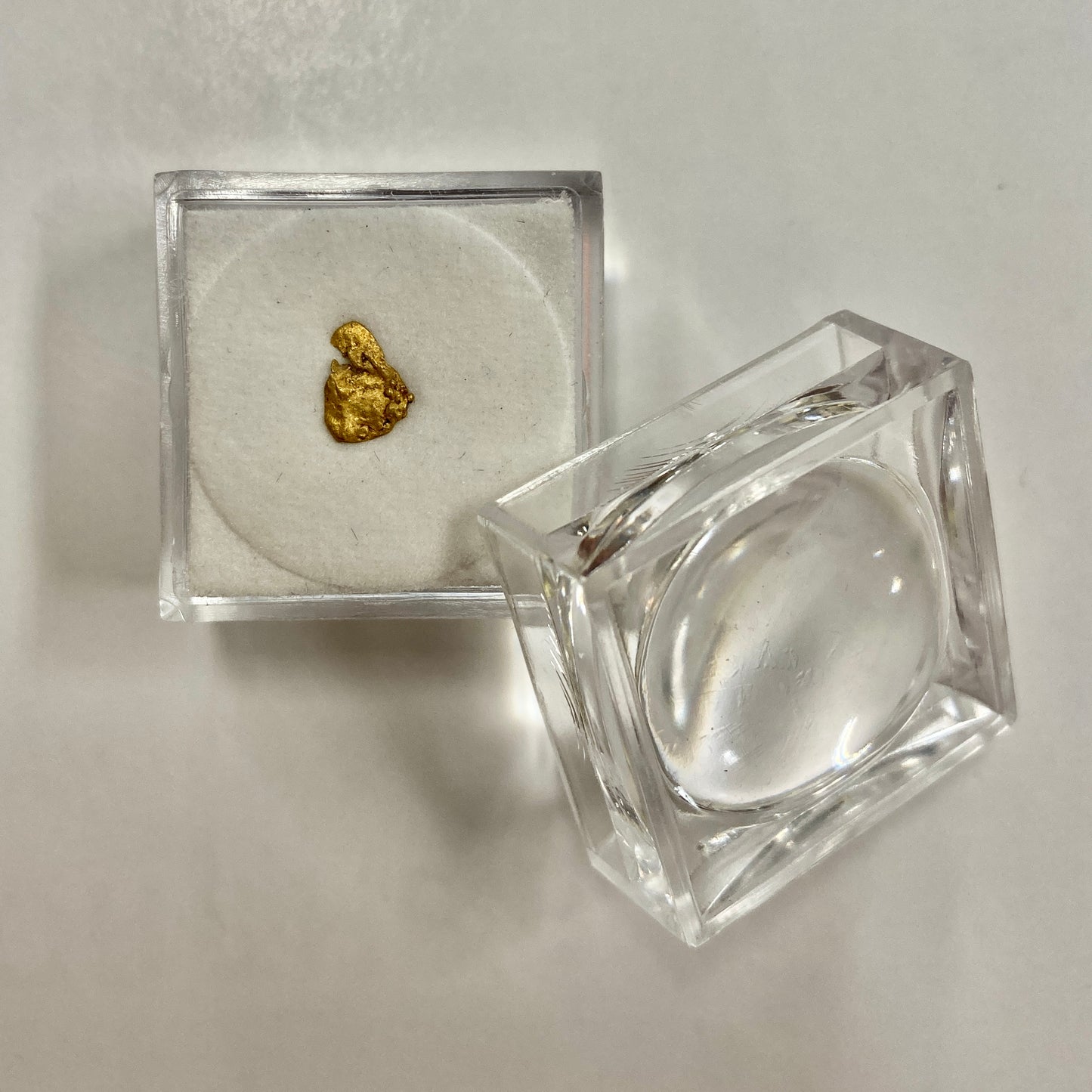 Alaska-Yukon Gold Nugget