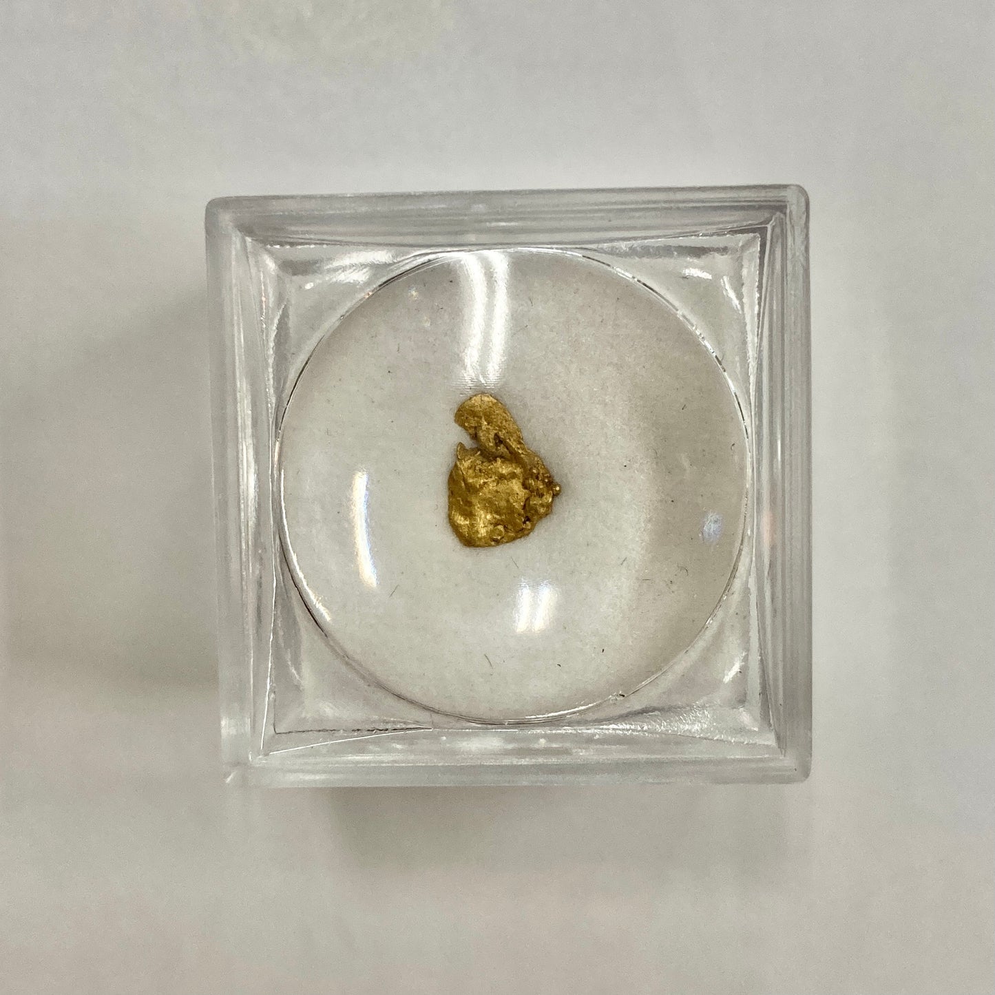 Alaska-Yukon Gold Nugget