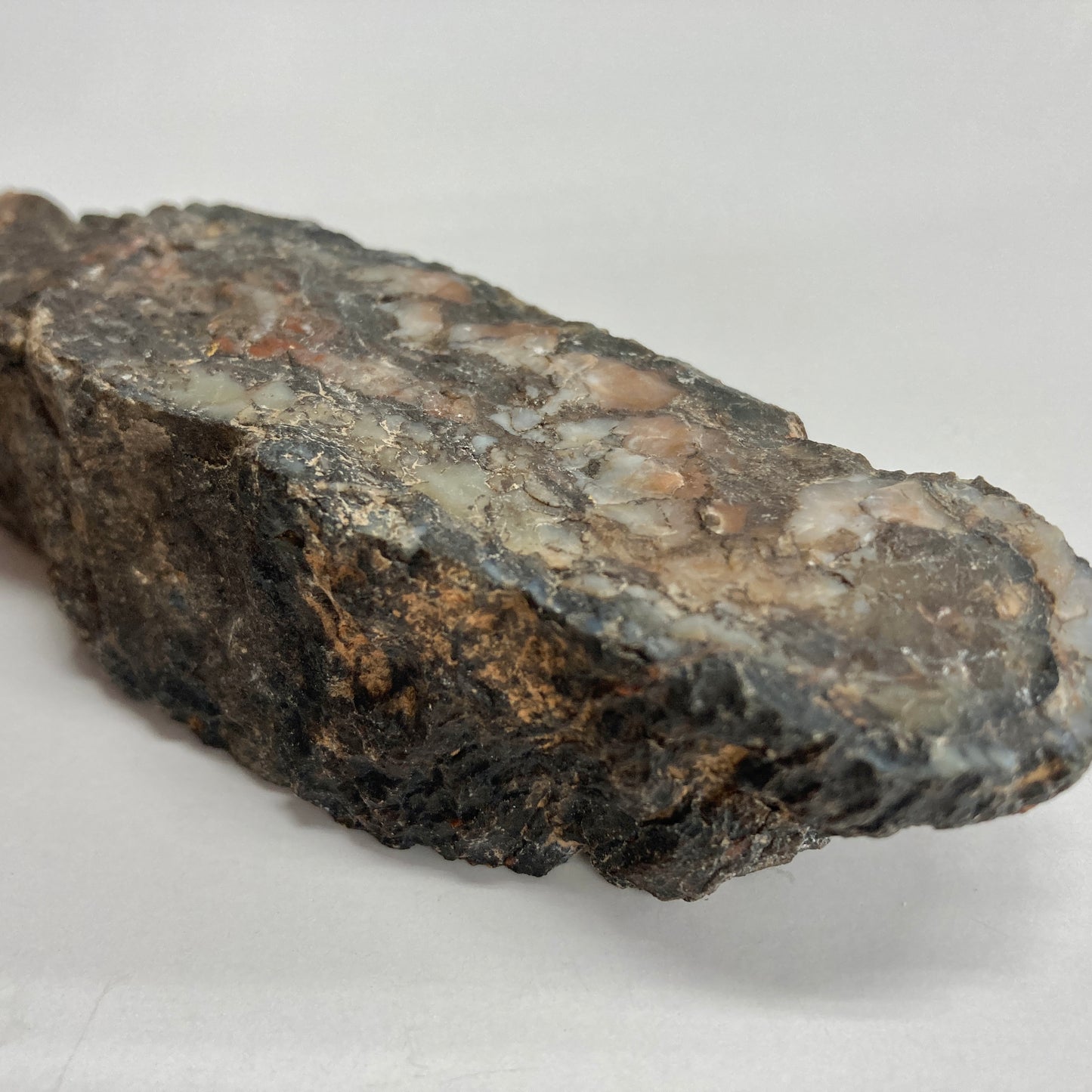 Dinosaur Coprolite