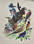 Eastern Birds T-shirt, Adult